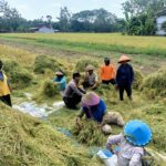 Bangun Hubungan Baik dengan Petani, Polres Ngawi Giatkan Bhatarling