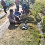 Jaga Ketahanan Pangan di Ngawi, Polsek Jogorogo Patroli Dialogis dengan Petani