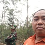 Sinergi BPBD, TNI,Polri dan Relawan Dalam Penghijauan Kembali Dampak Karhutla Lawu