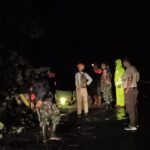 Polisi Ngawi Evakuasi Pohon Tumbang di Jalan Jogorogo