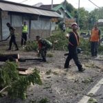 Dengan Sigap, Babinsa Koramil Ngawi Kota Bersama Masyarakat Dan Instansi Terkait Evakuasi Pohon Tumbang