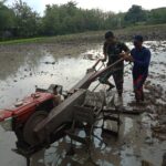 Babinsa Koramil 04 Padas Dampingi Petani Untuk Meningkatkan Ketahanan Pangan