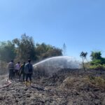 Sinergitas TNI dan Polri Bersama Warga Bantu Padamkan Kebakaran Lahan di Mojokerto