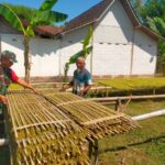 Warga Desa Sembung Tanam Tembakau Berkat Peran Babinsa