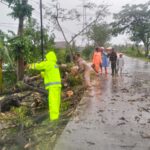 Polsek Padas Sigap Evakuasi Pohon Tumbang Akibat Hujan dan Angin Kencang di Ngawi