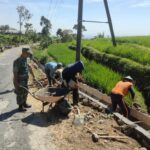 Manunggal Dengan Rakyat, Babinsa Koramil Jogorogo Kerja Bakti Bersama Warga