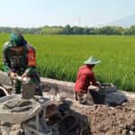 Babinsa Koramil Kedunggalar Bantu Warga Bangun Talud Jalan Persawahan 