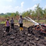 Dukung Swasembada Pangan, Polres Nganjuk Siapkan Lahan Tanam Jagung Varietas Unggul