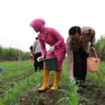 Polresta Malang Kota Gelorakan Swasembada Pangan Sukseskan Asta Cita