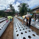 Dukung Asta Cita, Polisi Ngawi Dorong Pemanfaatan Pekarangan Rumah Warga di Ngrambe