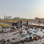 Peran Aktif Babinsa Koramil Widodaren Bantu Petani Dalam Pengolahan Lahan Sawah