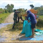 Babinsa Koramil Ngrambe Dampingi Sergap di Poktan Tani Makmur Desa Setono