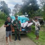BABINSA KORAMIL NGRAMBE AKTIF SERGAP GABAH HINGGA MENYISIR PELOSOK DESA