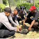 Cegah Abrasi, Siswa Diktukba SPN Polda Jatim Tanam Mangrove dan Berbagi Bansos