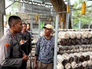 Live In' : Siswa Diktukba SPN Polda Jatim Edukasi Budidaya Bandeng dan Jamur di Gresik