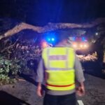 Respons Cepat Polisi Magetan Bersama BPBD, Pohon Tumbang di Jalur Tawangmangu–Plaosan Berhasil Dievakuasi