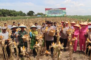 Panen Raya Jagung Kuartal I 2026, Kapolres Magetan Dorong Magetan Jadi Lumbung Pangan