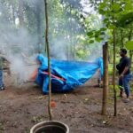 Polres Ponorogo Amankan 12 Tersangka Judol dan Sabung Ayam