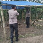 Polres Malang Kembali Bongkar Area Sabung Ayam di Kalipare