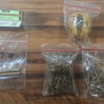 Polrestabes Surabaya Ungkap Narkoba Amankan Tersangka Pengedar Ganja Polrestabes Surabaya Ungkap Narkoba Amankan Tersangka Pengedar Ganja