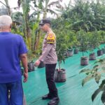 Polsek Sine Patroli Pekarangan Pangan Bergizi, Dukung Ketahanan Pangan Nasional