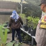 Dukung Ketahanan Pangan di Ngawi, Bhabinkamtibmas Sambang Pemanfaatan Pekarangan Warga