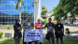 Maknai Idul Adha 2026, BRI Branch Office Ngawi Salurkan Hewan Qurban* Maknai Idul Adha 2026, BRI Branch Office Ngawi Salurkan Hewan Qurban*