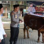Kapolres Jombang Serahkan Sapi Kurban dari Kapolda Jatim untuk Dua Ponpes* Kapolres Jombang Serahkan Sapi Kurban dari Kapolda Jatim untuk Dua Ponpes*