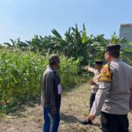 Polresta Sidoarjo Gelorakan Swasembada Pangan Melalui Program P2B*